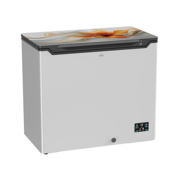 Walton Freezer 210L